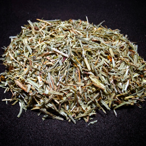 Horsetail (Shavegrass)