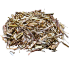 Vervain for cleansing, uncrossing and protection
